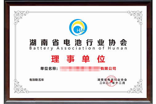 艾克赛普成为湖南省电池行业协会理事单位