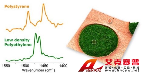 PS-LDPE聚合物混合物上的共振增强AFM-IR光谱
