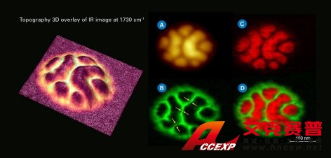 PS-b-PMMA嵌段共聚物在攻丝AFM-IR模式下的igh分辨率化学成像显示样品形貌