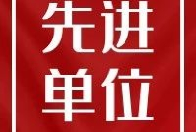 艾克赛普荣获长沙市2024 年度统计工作先进单位