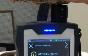 布鲁克 BRAVO手持式拉曼光谱仪分析伟晶岩矿物