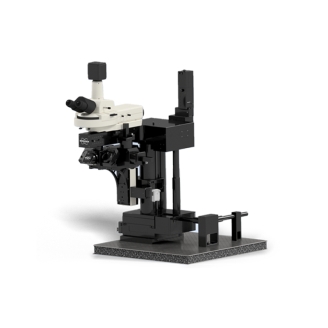 布鲁克Bruker Ultima Investigator 活体多光子显微镜