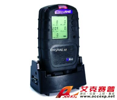 RAE PGM-3000 EntryRAE 气体检测仪图片