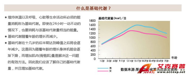 了解基础代谢