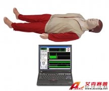 TSI CPR780型高级心肺复苏模拟人