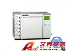 鲁南瑞虹 SP-9890型 气相色谱仪