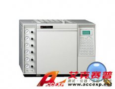 鲁南瑞虹 SP-6890 气相色谱仪